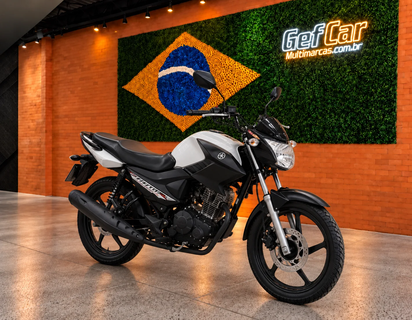YAMAHA YBR150 FACTOR ED 2023